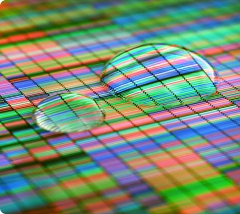 Independent Data Lab initiates the development of a new platform