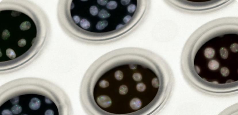 First version of OmicsChart TCGA is now online!